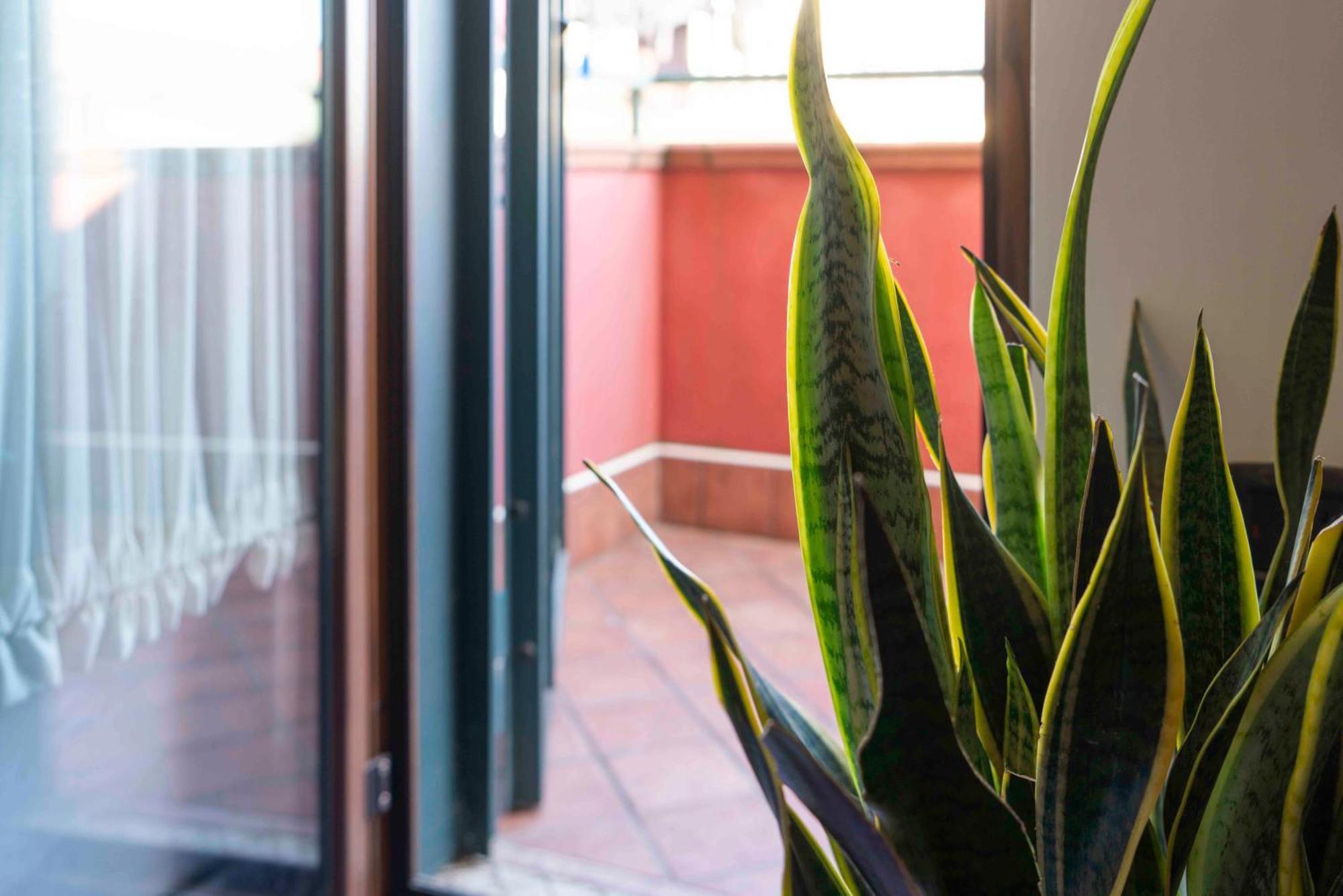 B&B Benny San Marco Evangelista Exterior foto